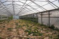 Закрывать или открывать теплицу на зиму: как считают опытные дачники