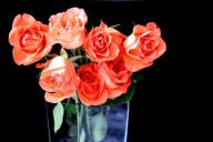 3 неприхотливых комнатных цветка, которые цветут даже у тех, кто загубил пластиковый кактус
