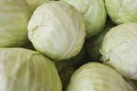 Капуста 