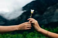 Меткий выстрел Амура: знаки зодиака испытают романтическое чувство в феврале