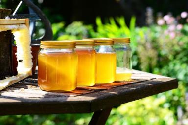 О чем говорит белая пена в банке мёда: дедовский секрет