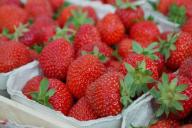 Как вырастить клубнику размером с кулак: несколько простых советов дачнику 