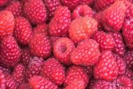 Чем подкормить малину, чтобы плодоносила весь сезон и росла размером с десятирублевую монету