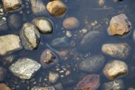 Что засыпать в сливную яму, чтобы не откачивать ее годами: хитрый способ