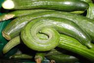 Чего хотят огурцы, если растут кривыми: на заметку дачникам