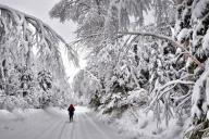 Народные приметы на 17 января: будут затяжные морозы