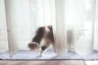 Как за 2 часа отстирать все тюли в доме до белоснежного состояния: хитрость хозяек