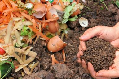 Как лучше использовать ботву, сорняки и падалицу: закапывать в грядки или бросать в компост