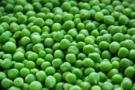 2 надписи на банке помогут купить вкусный и нежный консервированный зелёный горошек