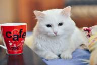 Мелочи, на которые вежливые гости не укажут, но внутри брезгливо поморщатся