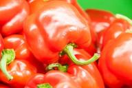 Как с помощью золы увеличить урожай перцев в 5 раз