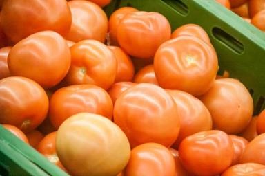 Один ингредиент для томатов: урожаю будут соседи завидовать, а друзья радоваться