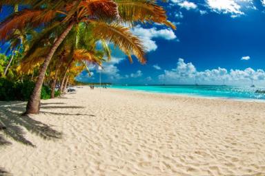 Самые лучшие пляжи Доминиканы: Полный список