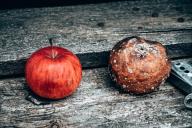 Яблоки Гниль