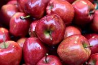 Ящиками попрут яблоки и груши на деревьях, если применить одну хитрость в июле