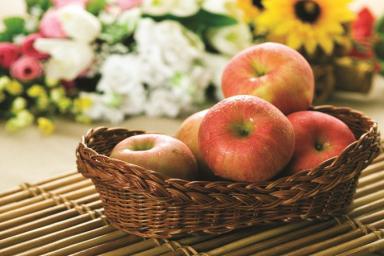 Засохнет и обвалится: эти 3 ошибки «уничтожат» урожай яблок насовсем