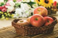 Засохнет и обвалится: эти 3 ошибки «уничтожат» урожай яблок насовсем