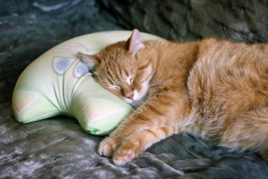 Подушка Кошка