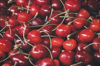2 полезных совета для тех, у кого не плодоносит вишня: насладитесь сочными ягодами уже в этом году