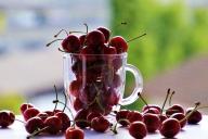 Как обрезать и подкормить вишню, чтобы летом собрать 10 ведер ягоды: фишка, о которой большинство не знают