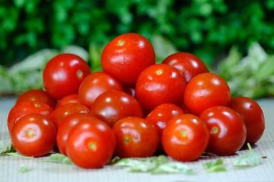 На каком расстоянии сажать томаты в грядке, чтобы получить большой урожай: об этом должен знать каждый дачник