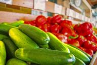 По тазу с куста каждое утро: чем опрыскивать огурцы, чтобы собирать такие урожаи