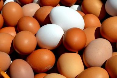 Врач рассказала, сколько яиц можно употреблять в неделю без вреда для здоровья