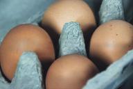 Никогда не выливайте воду из-под яиц в раковину: почему это ошибка