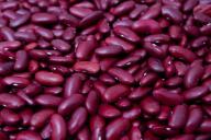 Нужно ли сливать воду после варки фасоли: хитрость ушлых хозяек