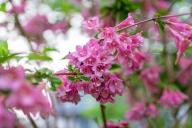 Что сеять и сажать в апреле: лучшие варианты для середины весны