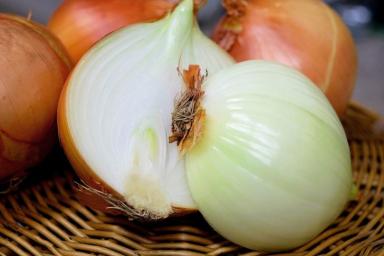 Чем полить лук, чтобы вырос крупнее яблока: урожай заставит соседей расплакаться от зависти