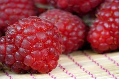 Чем подкормить малину, чтобы собрать рекордный урожай ягод: эффективный и бесплатный способ