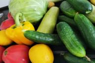 Плохо растут огурцы: 5 самых распространенных причин неурожая