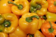 2 сорта мясистого перца, которые дают богатые урожаи без осечек в любое лето 