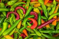 2 ошибки при выращивании перца дачники называют правилами, а они губят рассаду