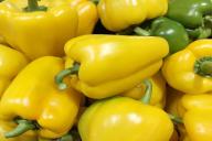 Попрут, как сумасшедшие: эти 3 приема весной обеспечат максимальный урожай перцев летом