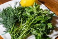 3 ошибки дачника, почему укроп и петрушка не хотят расти на участке: допускает каждый второй