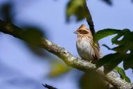 Народный праздник Овсянки: что можно и нельзя делать 3 марта
