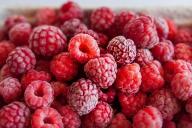 Как получить хороший урожай малины: советы садовода