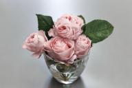 Как правильно посадить розы в открытый грунт весной