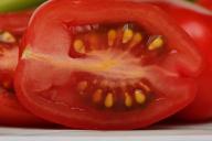 ТОП-3 сорта томатов, которые растут сами собой: под силу вырастить даже ленивым дачникам 