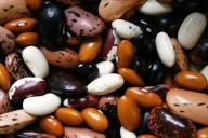 Бабушкин способ варки фасоли: как правильно варить, чтобы она не превратилась в кашу