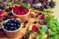 Рядом с чем нельзя сажать смородину, если хотите получать отличный урожай каждый год