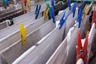 Как моментально вывести жёлтые пятна от пота на белых майках: нужное средство ищите на кухне 