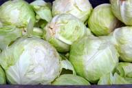 5 секретов небывалого урожая капусты: стоит узнать до начала сезона 