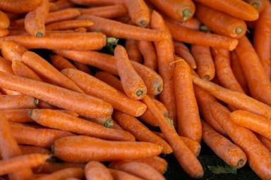Почему морковь вырастает бледной и несладкой: как это исправить 