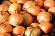 Как вырастить крупный лук: вот вам деревенские хитрости