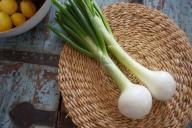 Как дачники используют пищевую соду при посадке лука: залог богатого урожая