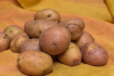 Почему картошка может потемнеть во время варки: вот что добавить, чтобы избежать этого