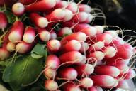 Как убрать горечь из редиски: 4 простых совета для тех, кто устал выращивать горькую редиску